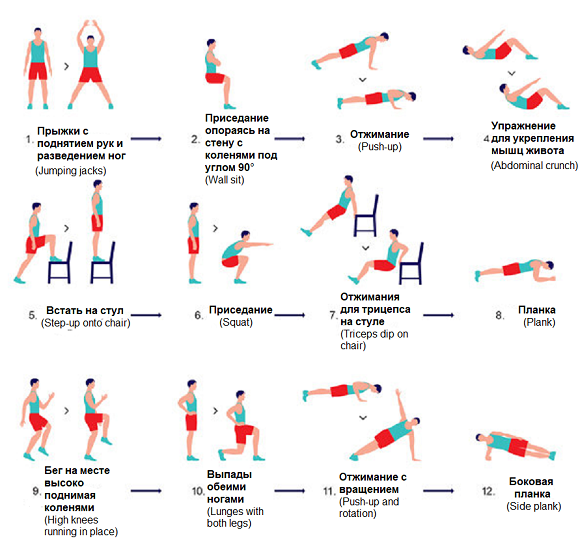 На этом рисунке изображены упражнения для научно обоснованной 7-минутной тренировки